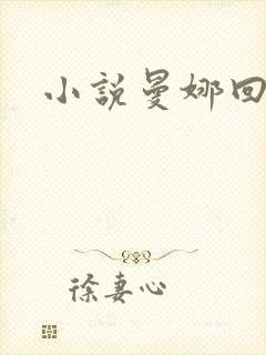 小说曼娜回忆录