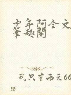 少年阿全文免费笔趣阁