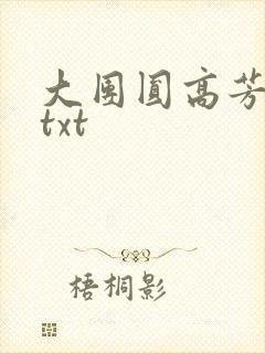 大团圆高芳小说txt