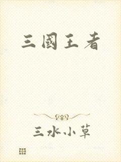 三国王者