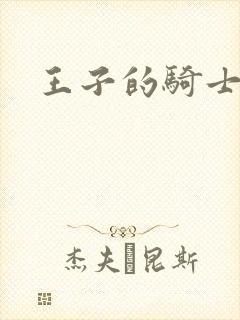 王子的骑士小说