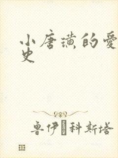 小唐璜的爱情历史