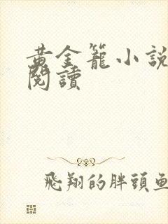 黄金笼小说免费阅读