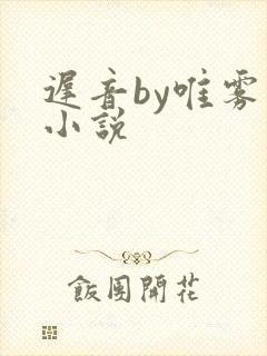 迟音by唯雾的小说