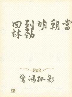 回到明朝当王爷林劲