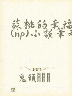 苏桃的幸福生活(np)小说笔趣阁沐沐