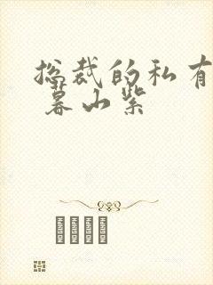 总裁的私有宝贝 暮山紫