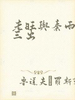 老旺与秦雨三进三出