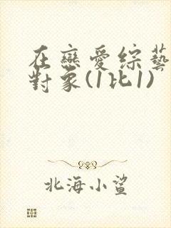 在恋爱综艺里搞对象(1比1)