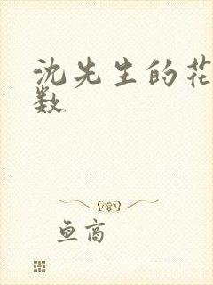 沈先生的花式调数