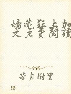 娇藏狂上加狂全文免费阅读笔趣阁