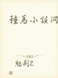 种马小说网
