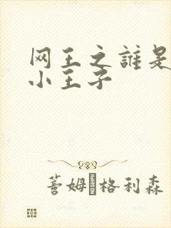 网王之谁是我的小王子
