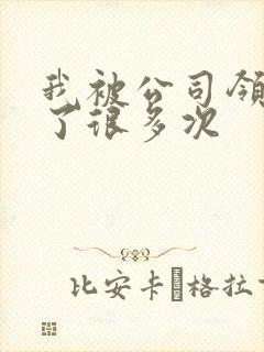 我被公司领导C了很多次