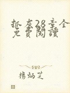 抓灰28章全部免费阅读