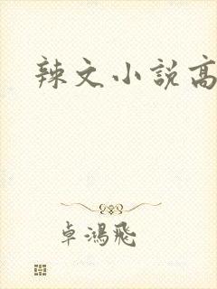 辣文小说高h