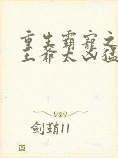 重生霸宠之摄政王爷太凶猛