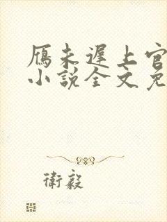 雁未迟上官穿越小说全文免费阅读