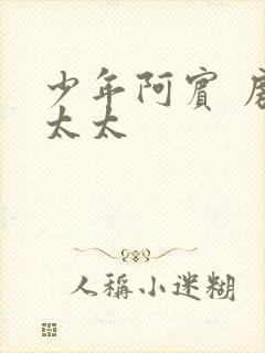 少年阿宾 房东太太