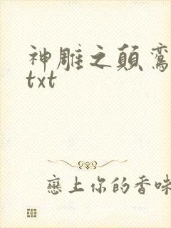 神雕之颠鸾倒凤txt