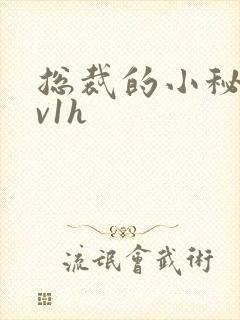 总裁的小秘书1v1h