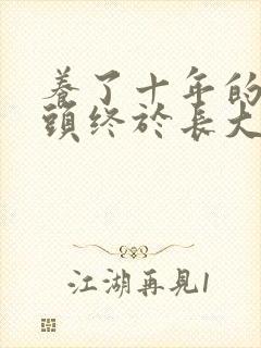 养了十年的小丫头终于长大了