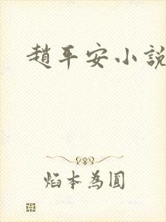 赵平安小说主角