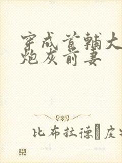 穿成首辅大人的炮灰前妻