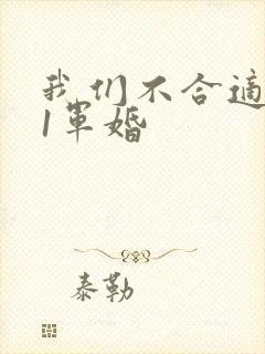 我们不合适1v1军婚