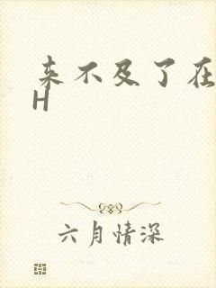 来不及了在车CH