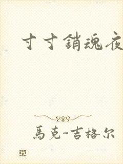 寸寸销魂夜春光