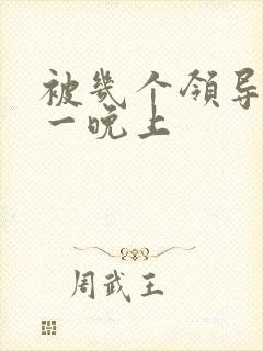 被几个领导玩弄一晚上