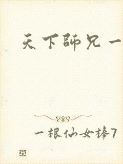 天下师兄一般黑