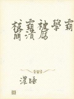 校霸被学霸玩到崩溃腐