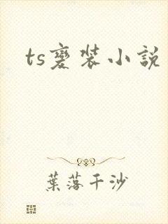 ts变装小说