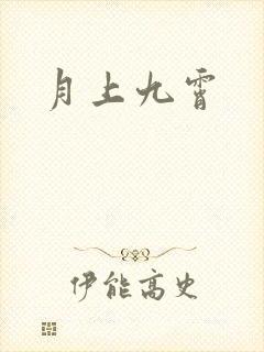 月上九霄封面