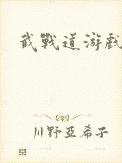 武战道游戏