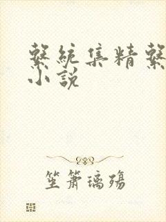 系统集精系统 小说