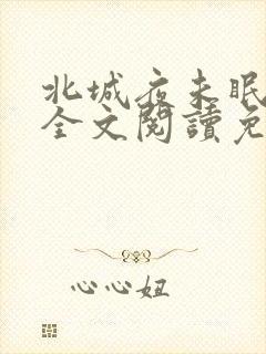 北城夜未眠小说全文阅读免费