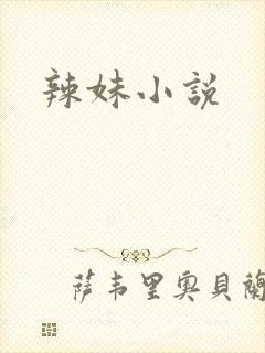辣妹小说
