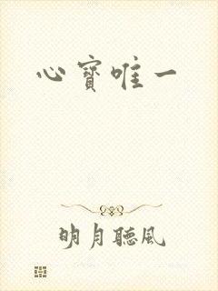 心宝唯一