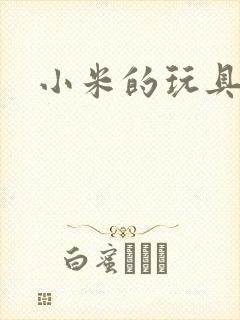 小米的玩具日记