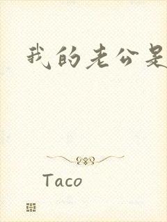 我的老公是军阀