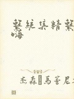 系统集精系统高嗨