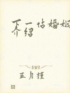 下一站婚姻剧情介绍