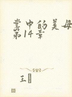 掌中的美母版主第14章