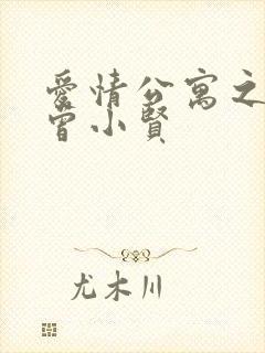 爱情公寓之极品曾小贤