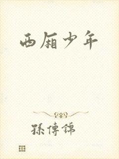 西厢少年