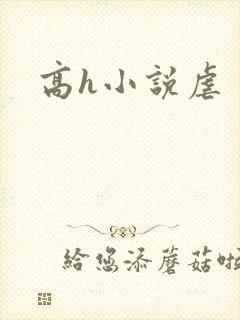 高h小说虐