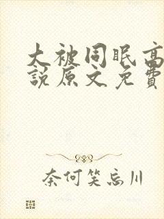 大被同眠高粱小说原文免费阅读